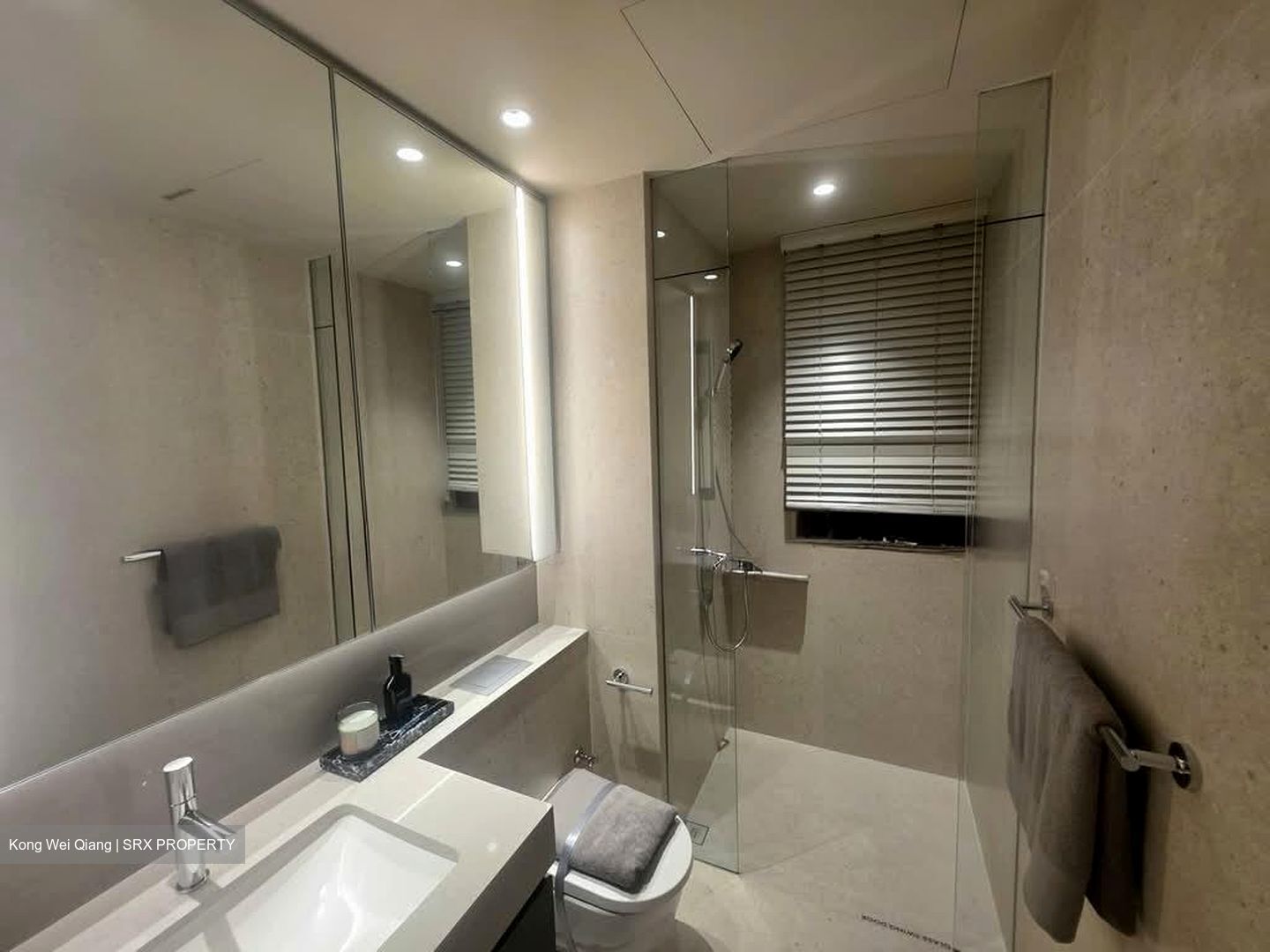 Hudson Place Residences (U/C) (D5), Apartment #581360351